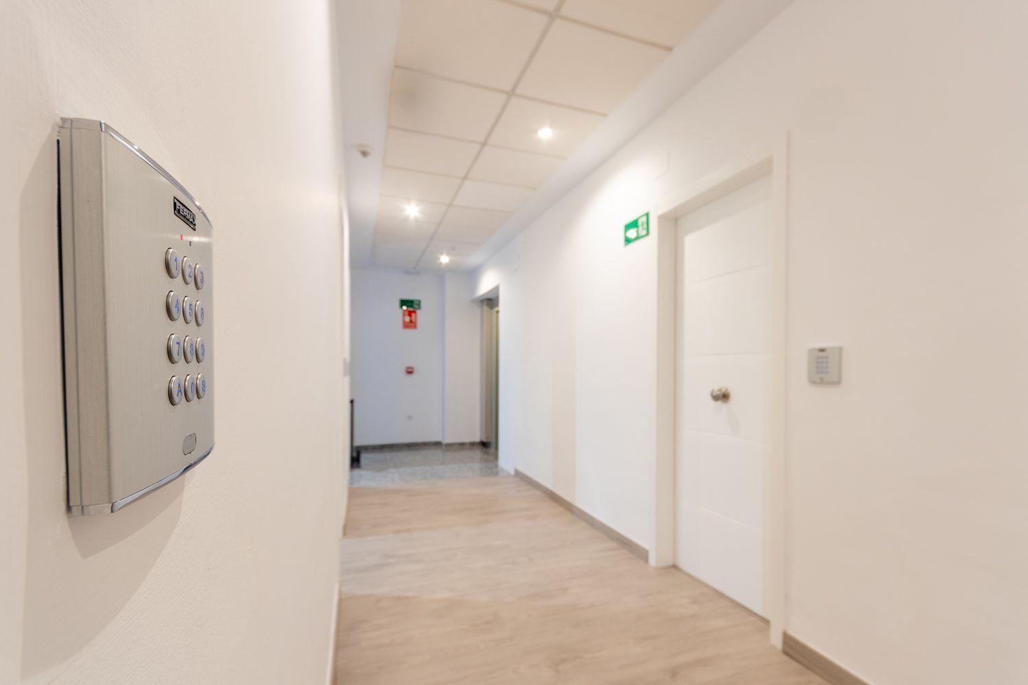 Apartamentos Basilica Santa Eulalia Parking Gratis メリダ エクステリア 写真